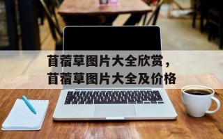 苜蓿草图片大全欣赏，苜蓿草图片大全及价格