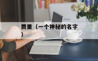 贾里（一个神秘的名字）
