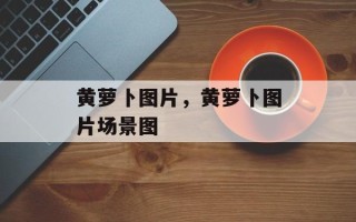 黄萝卜图片，黄萝卜图片场景图