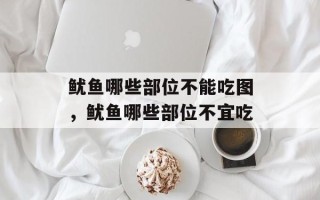 鱿鱼哪些部位不能吃图，鱿鱼哪些部位不宜吃
