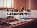 黑鮰鱼是什么鱼？揭秘长江流域珍稀鱼种的经济价值