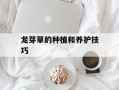 龙芽草的种植和养护技巧