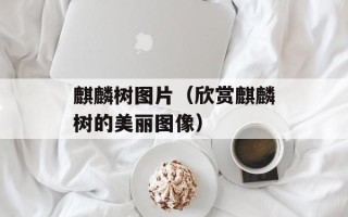 麒麟树图片（欣赏麒麟树的美丽图像）
