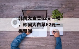 韩国大白菜62元一棵，韩国大白菜62元一棵新闻