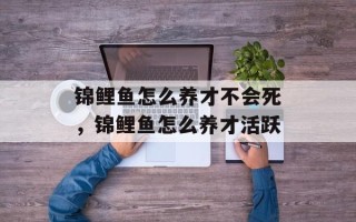 锦鲤鱼怎么养才不会死，锦鲤鱼怎么养才活跃