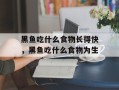 黑鱼吃什么食物长得快，黑鱼吃什么食物为生