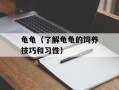 龟龟（了解龟龟的饲养技巧和习性）