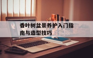 香叶树盆景养护入门指南与造型技巧