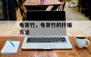 龟背竹，龟背竹的扦插方法