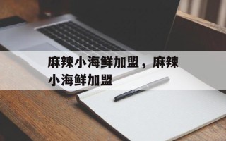 麻辣小海鲜加盟，麻辣小海鲜加盟