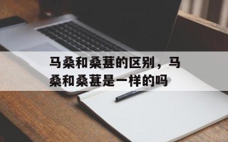 马桑和桑葚的区别，马桑和桑葚是一样的吗