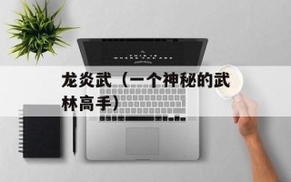 龙炎武（一个神秘的武林高手）