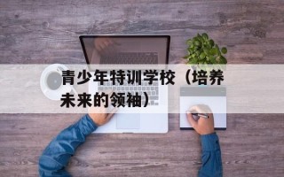 青少年特训学校（培养未来的领袖）