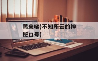 鸭来哒(不知所云的神秘口号)