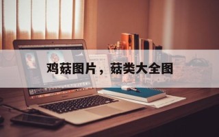 鸡菇图片，菇类大全图