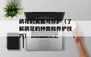 鹃花的美丽与养护（了解鹃花的种类和养护技巧）