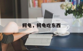 鳄龟，鳄龟吃东西