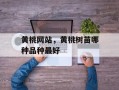 黄桃网站，黄桃树苗哪种品种最好