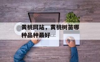 黄桃网站，黄桃树苗哪种品种最好