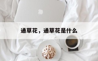 通草花，通草花是什么