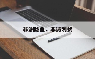 非洲鲶鱼，非诚勿扰