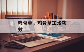 鸡骨草，鸡骨草主治功效
