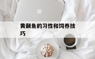 黄颡鱼的习性和饲养技巧