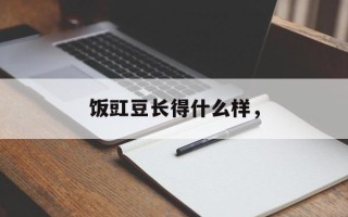 饭豇豆长得什么样，
