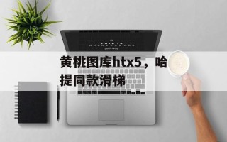 黄桃图库htx5，哈提同款滑梯