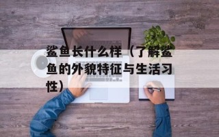 鲨鱼长什么样（了解鲨鱼的外貌特征与生活习性）