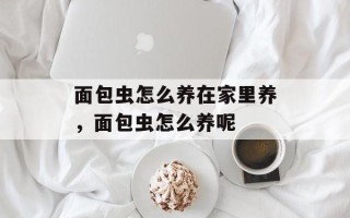 面包虫怎么养在家里养，面包虫怎么养呢