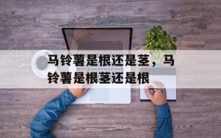 马铃薯是根还是茎，马铃薯是根茎还是根