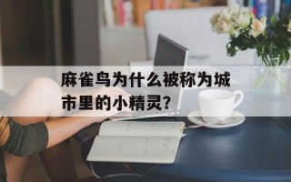麻雀鸟为什么被称为城市里的小精灵？