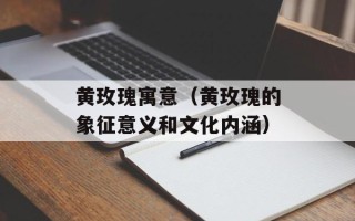 黄玫瑰寓意（黄玫瑰的象征意义和文化内涵）
