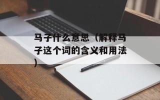 马子什么意思（解释马子这个词的含义和用法）