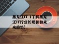 黑龙江IT（了解黑龙江IT行业的现状和未来趋势）