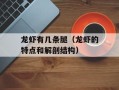 龙虾有几条腿（龙虾的特点和解剖结构）