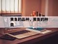 黄鱼的品种，黄鱼的种类