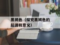黑褐色（探究黑褐色的起源和意义）