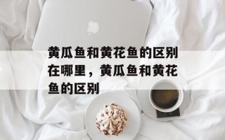 黄瓜鱼和黄花鱼的区别在哪里，黄瓜鱼和黄花鱼的区别