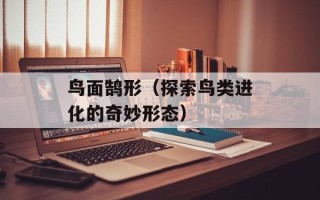鸟面鹄形（探索鸟类进化的奇妙形态）