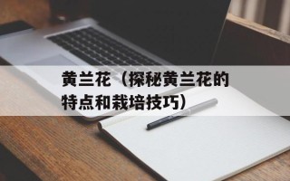 黄兰花（探秘黄兰花的特点和栽培技巧）