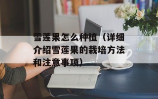 雪莲果怎么种植（详细介绍雪莲果的栽培方法和注意事项）