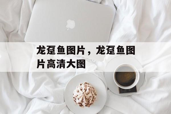 龙趸鱼图片，龙趸鱼图片高清大图-第1张图片-
