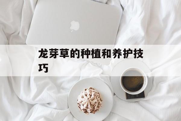 龙芽草的种植和养护技巧-第1张图片-