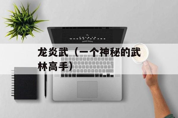 龙炎武（一个神秘的武林高手）-第1张图片-