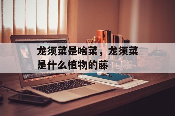 龙须菜是啥菜，龙须菜是什么植物的藤-第1张图片-