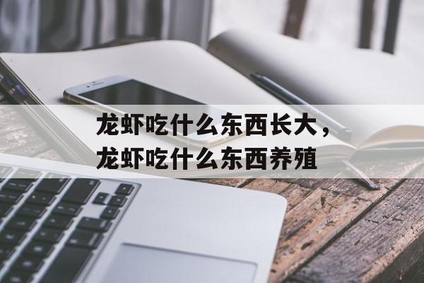 龙虾吃什么东西长大，龙虾吃什么东西养殖-第1张图片-