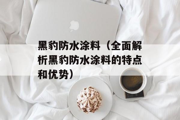 黑豹防水涂料（全面解析黑豹防水涂料的特点和优势）-第1张图片-