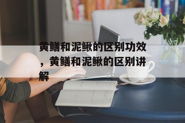 黄鳝和泥鳅的区别功效，黄鳝和泥鳅的区别讲解-第1张图片-